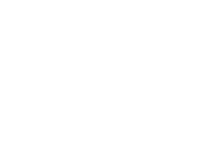 logo-rona